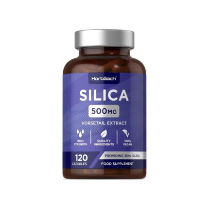 Silica Supplement 500mg by Horbaach | High Strength from Horsetail Extract